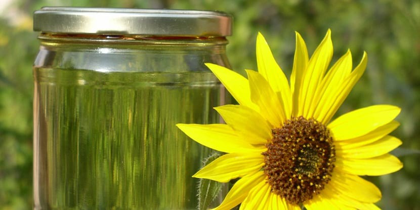 What is Biodiesel
