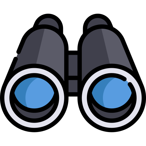 Vision Icon
